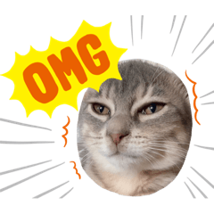 大好きなペットスタンプ♪