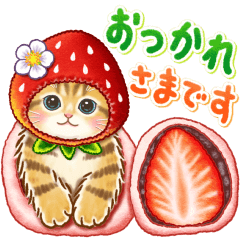 動くちっちゃい猫☆果汁100%にゃ！