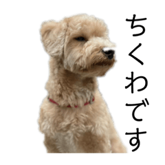 ちくわスタンプだ