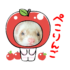 うちのてんじろうさん