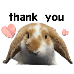 ぴのくんFriends：ぴのくんの家族を添えて