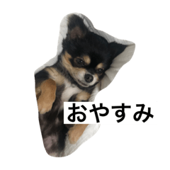 ここまる（´-`）