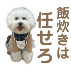 むぎまる大先生の思考 3パパ丸先生専用