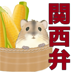 関西❤️モフハム連合❤️BIGサイズ