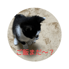 小さいルナとワンコとハムスター