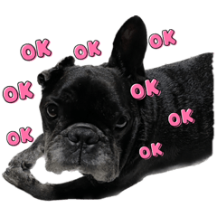 フレブルの幸之介くんスタンプ2