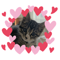 ミトンちゃん♥️