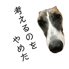 愛しのウィ子 日常会話 初級編