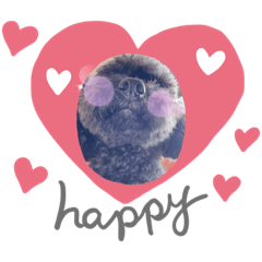 ごえもんワンコ　３