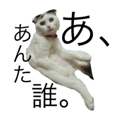 ウチの三姉妹〜