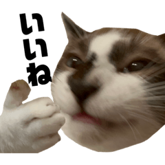 わたくしFamilyスタンプ