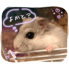 キャワキャワハムスタースタンプ