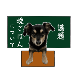 日常のあるあるじゅたろ