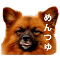 暇をもてあましたお正月2024