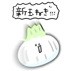 シンプル 新玉ねぎ 日常会話