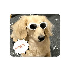 ミニチュアダックスフンドのこはるスタンプ