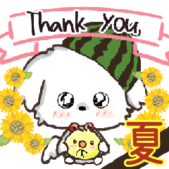 うちの子のスタンプ♡あいさつ♡スイカ