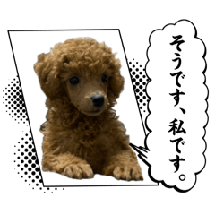 下出家の愉快な仲間達①