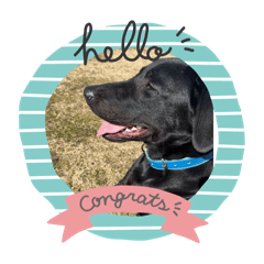 ハローごん太呂2