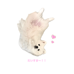 しろまるが世界を救う