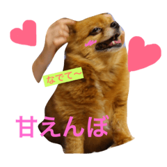 くいしんぼうジロー