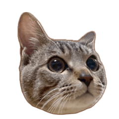 ちぃのスタンプ　no.1