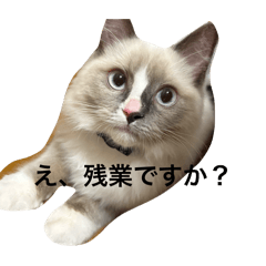 ちょっとだけ使えるねこのスタンプ犬もいる