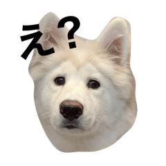 まるテ☆スタンプ