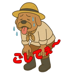 信州 おじさん犬