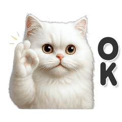 毎日使える！シンプル可愛いペルシャ