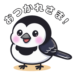 ハクセキレイ_おつかれさま！