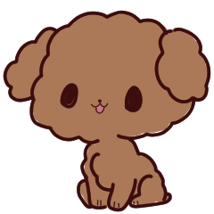 トイプードルの「モコ」