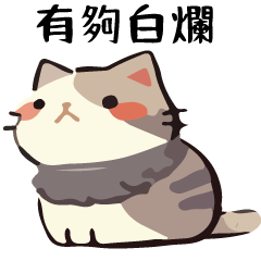 Talk Cat Ball White and Rotten Special 2