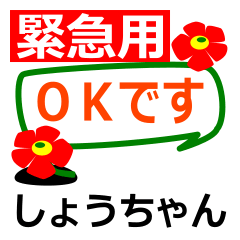 緊急【しょうちゃん】専用