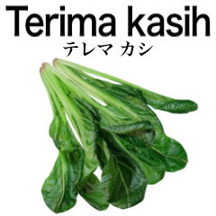 国産 ほうれん草 【インドネシア語】