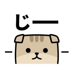 【四角ゆるかわ動物シリーズ】ねこ編