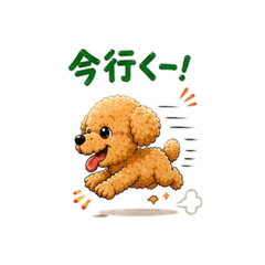 毎日使える！元気でかわいいトイプードル