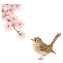 Hello goodbird