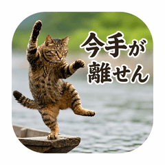【猫】舟の上で『今忙しい』猫