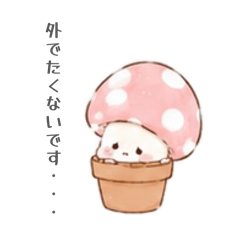 弱きのこ