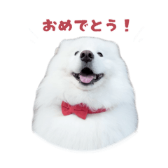 ダッツくん日常シリーズver.1