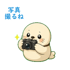 写真共有あざらし40