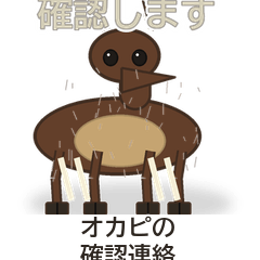 オカピの確認連絡