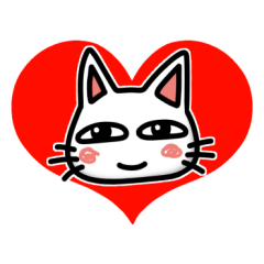 朝から夜までしろいねこ