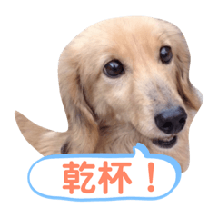 ちょろのお酒日和