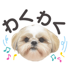 ロンムックファミリームック編