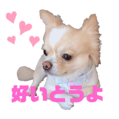 あれちゃん博多弁