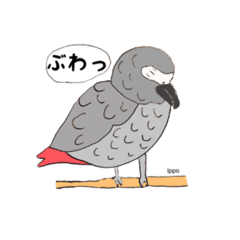 ヨウムはしゃべります。