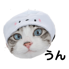 可愛い愛犬 愛猫シリーズ