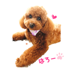 ちゃたろだもの2